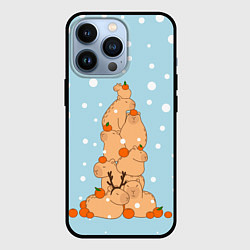 Чехол iPhone 13 Pro Гора капибара в снегу