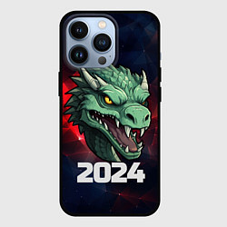 Чехол iPhone 13 Pro Злой дракон 2024