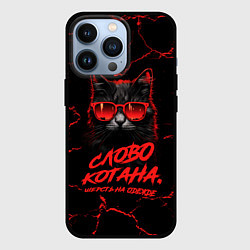 Чехол для iPhone 13 Pro Слово котана - шерсть на одежде, цвет: 3D-черный