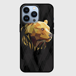 Чехол iPhone 13 Pro Русский бурый медведь 2024