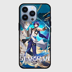 Чехол iPhone 13 Pro Доктор Рацио из Хонкая