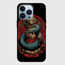 Чехол для iPhone 13 Pro Боевой дракон Муай-тай, цвет: 3D-черный