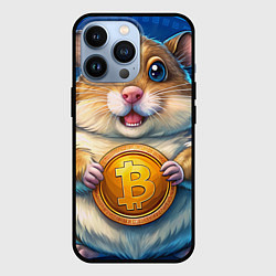 Чехол для iPhone 13 Pro Хомячок с криптой, цвет: 3D-черный