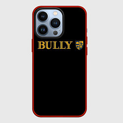 Чехол iPhone 13 Pro Bully rockstar