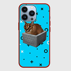 Чехол iPhone 13 Pro Шлепа в коробке