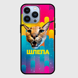 Чехол iPhone 13 Pro Голова Шлепы