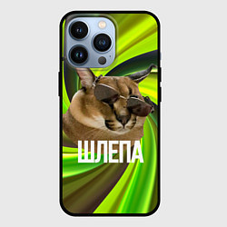 Чехол iPhone 13 Pro Шлепа в очках