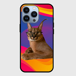 Чехол iPhone 13 Pro Мем кот Шлепа