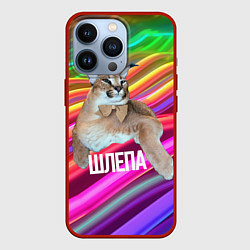 Чехол для iPhone 13 Pro Мем кот Шлепа, цвет: 3D-красный