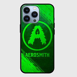 Чехол для iPhone 13 Pro Aerosmith - green gradient, цвет: 3D-черный