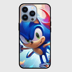 Чехол iPhone 13 Pro Sonic 1