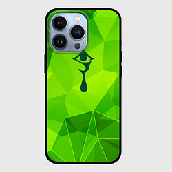 Чехол iPhone 13 Pro Hellsing green poly