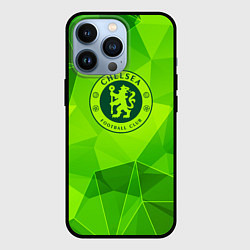 Чехол для iPhone 13 Pro Chelsea green poly, цвет: 3D-черный