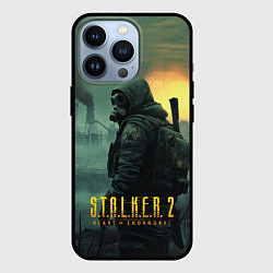 Чехол для iPhone 13 Pro Stalker город в тумане, цвет: 3D-черный