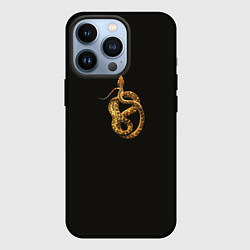 Чехол для iPhone 13 Pro Символ 2025 года свернувшаяся змея, цвет: 3D-черный