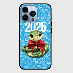 Чехол для iPhone 13 Pro Змейка с красным бантиком, цвет: 3D-черный