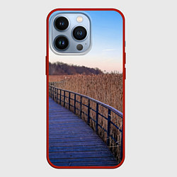 Чехол iPhone 13 Pro Камышовые плавни на Финском заливе