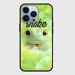 Чехол для iPhone 13 Pro Змейка 25, цвет: 3D-черный