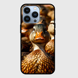 Чехол iPhone 13 Pro Дикие утки