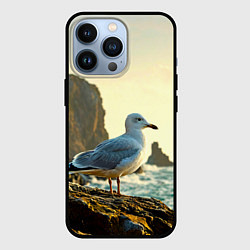 Чехол iPhone 13 Pro Морская чайка