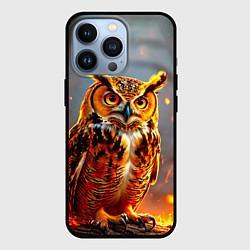 Чехол для iPhone 13 Pro Филин в огне, цвет: 3D-черный