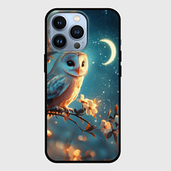Чехол для iPhone 13 Pro Сова и звездное небо, цвет: 3D-черный