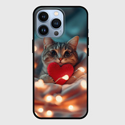 Чехол для iPhone 13 Pro Кошка с сердцем, цвет: 3D-черный