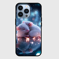 Чехол для iPhone 13 Pro Милые влюбленные мышки, цвет: 3D-черный