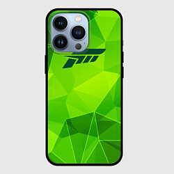 Чехол iPhone 13 Pro Forza Horizon green poly