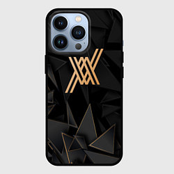 Чехол для iPhone 13 Pro Darling in the FranXX golden poly, цвет: 3D-черный