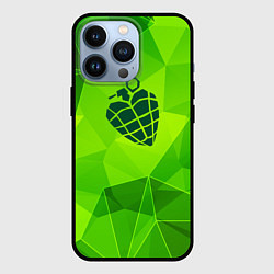 Чехол для iPhone 13 Pro Green Day green poly, цвет: 3D-черный