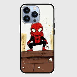 Чехол iPhone 13 Pro Мини человек-паук