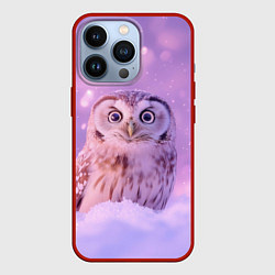 Чехол iPhone 13 Pro Удивленная сова