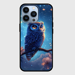 Чехол для iPhone 13 Pro Сова на фоне ночного неба, цвет: 3D-черный