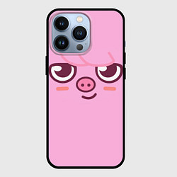 Чехол iPhone 13 Pro Dwaekki skzoo