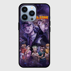 Чехол iPhone 13 Pro Доктор Камень