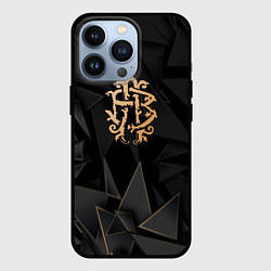 Чехол iPhone 13 Pro Nickelback golden poly