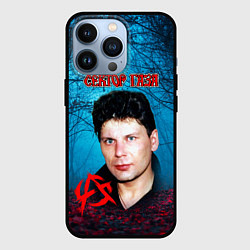 Чехол iPhone 13 Pro Сектор газа вечерний лес