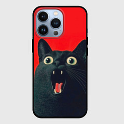 Чехол для iPhone 13 Pro Котик в шоке, цвет: 3D-черный