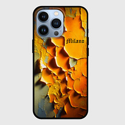Чехол iPhone 13 Pro Peeling plaster - Milano