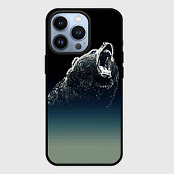 Чехол iPhone 13 Pro Бурый в гневе - градиент