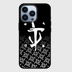 Чехол iPhone 13 Pro Doom ninja