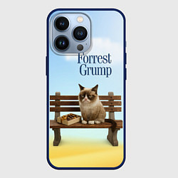 Чехол iPhone 13 Pro Пародия Форрест Гамп - кот на скамейке