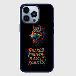 Чехол iPhone 13 Pro Волк брызги краски