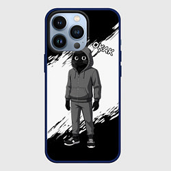 Чехол iPhone 13 Pro Окак - кот мем
