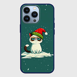 Чехол iPhone 13 Pro Милый мем Новогодний котенок