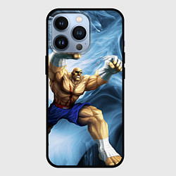 Чехол iPhone 13 Pro Muay Thai Rage