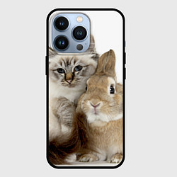 Чехол для iPhone 13 Pro Кот и кролик пушистые, цвет: 3D-черный