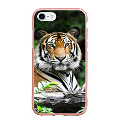 Чехол iPhone 7/8 матовый Тигр в джунглях