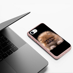 Чехол iPhone 7/8 матовый Рыжий Шпиц, цвет: 3D-светло-розовый — фото 2